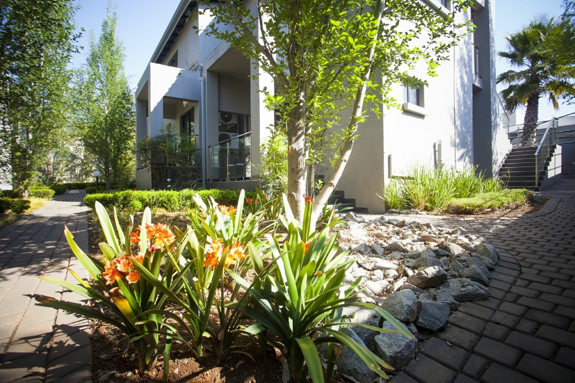 Villa Moyal Johannesburg Exterior foto